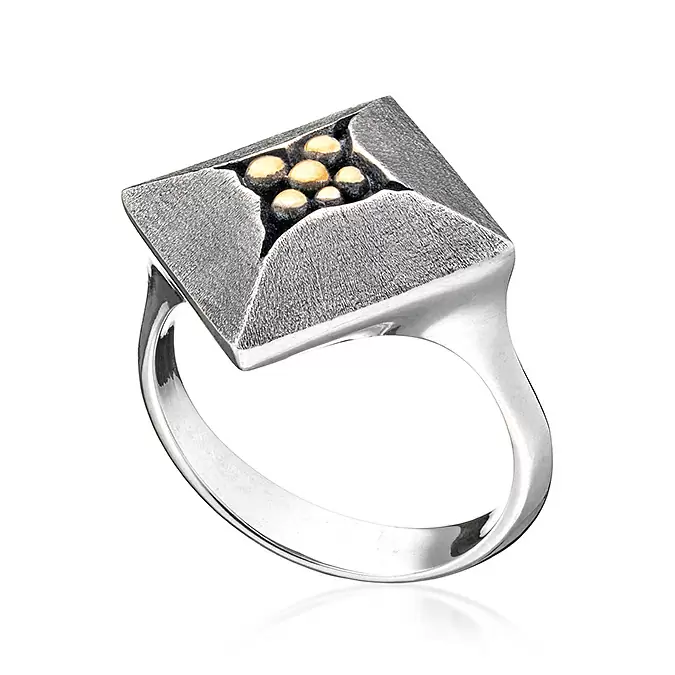 Кольцо RG091573NIN-M серебро
