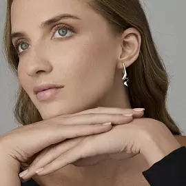 Серьги 02-4700.00ГР-00 серебро_2